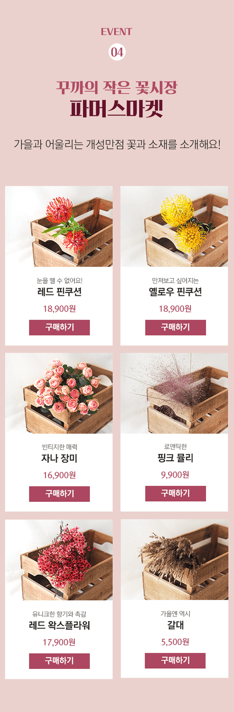 꾸까 가을꽃 페스티벌, 오퀴즈 1200만원 상금 퀴즈 정답 관련 이미지 3