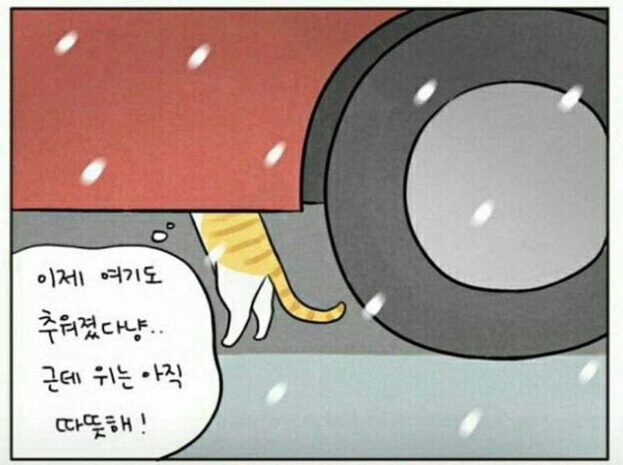 모닝노크 관련 이미지 5