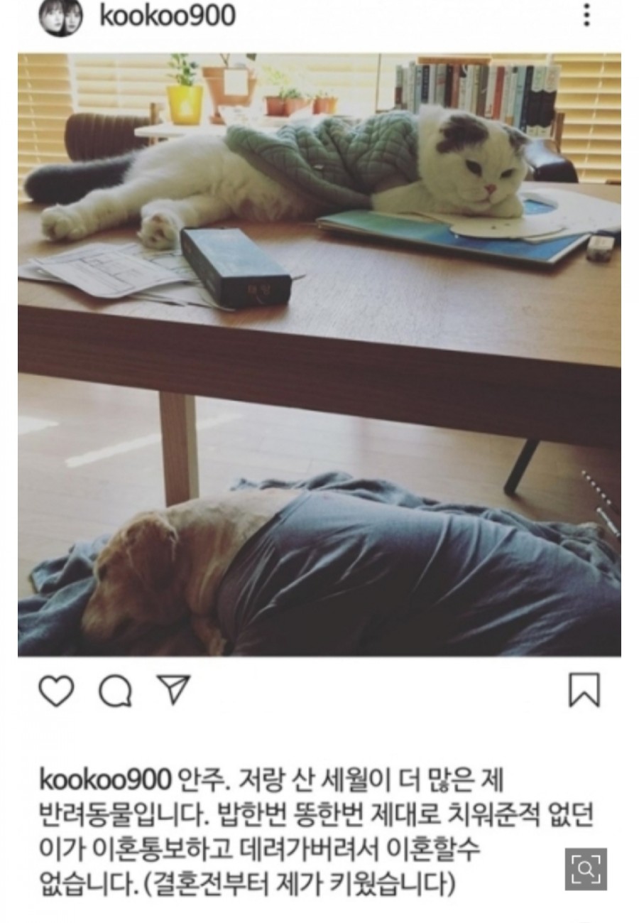구혜선과 안재현 디스패치 포렌식 대화 내용 공개, 사랑과 전쟁? 관련 이미지 35