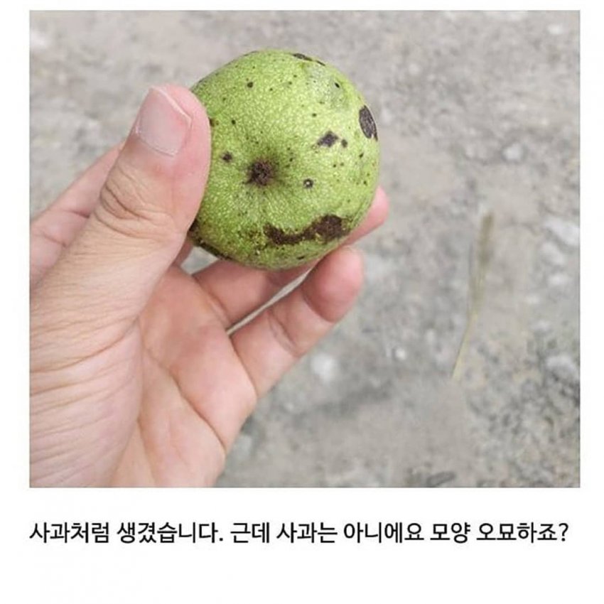 이해하면 무서운 사진 모음 관련 이미지 3
