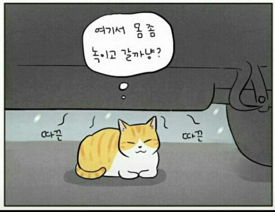 모닝노크 관련 이미지 4