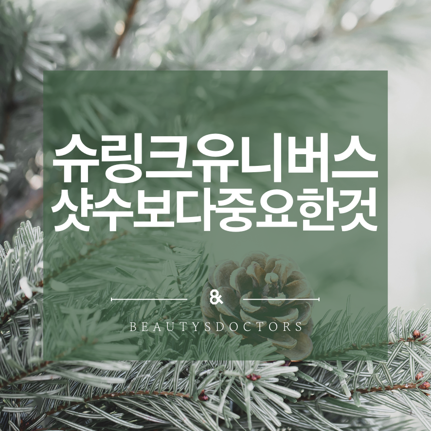 슈링크 유니버스 300샷, 효과와 시기 완벽 가이드 관련 이미지 1