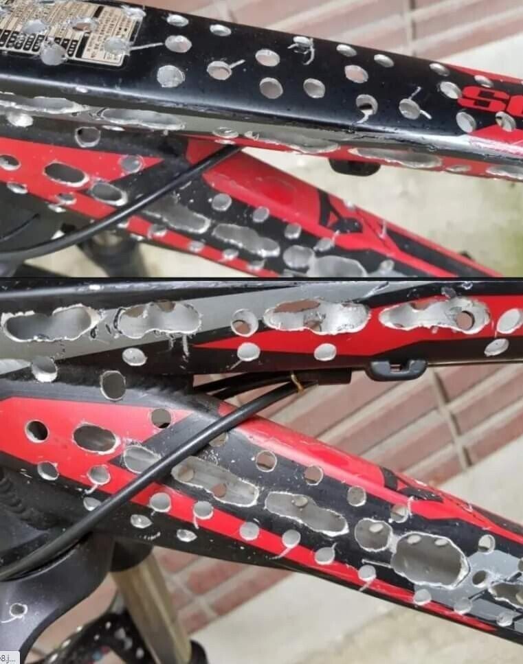 이해하면 무서운 짤 모음 관련 이미지 3