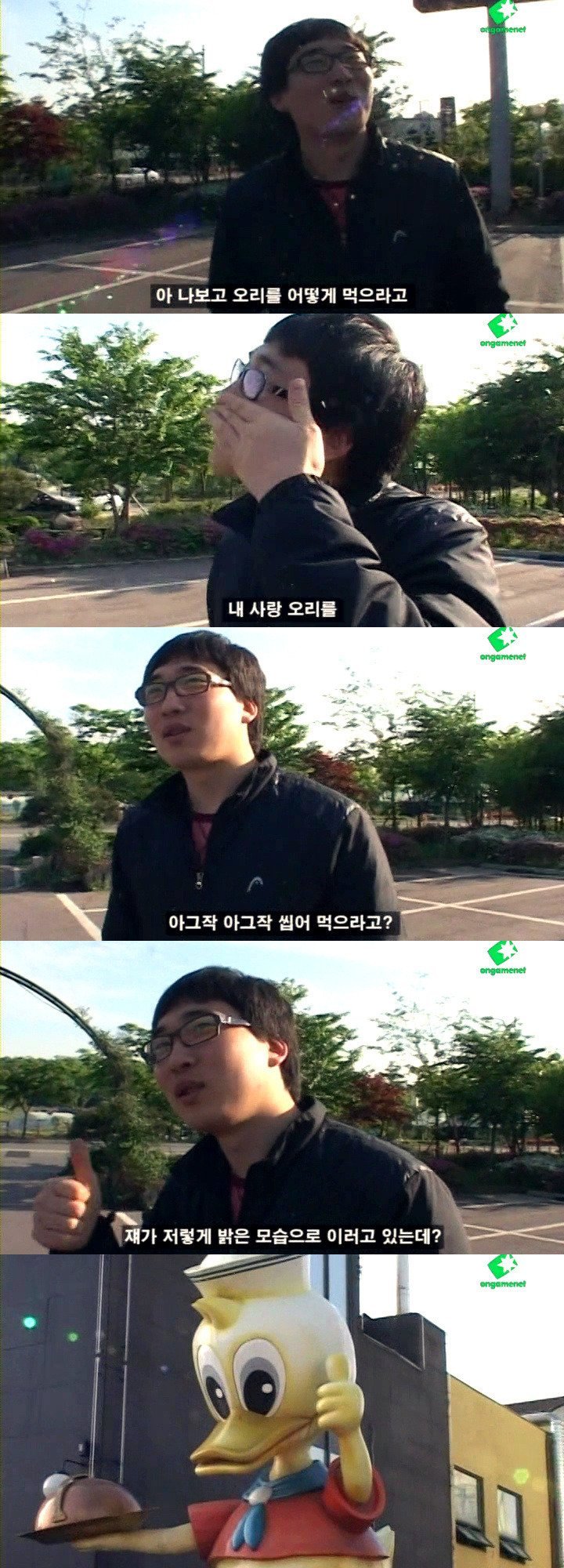 오리 관련 이미지 5