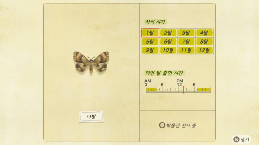 '모여봐요 동물의 숲' 곤충도감 정리 및 공략(1) 관련 이미지 14