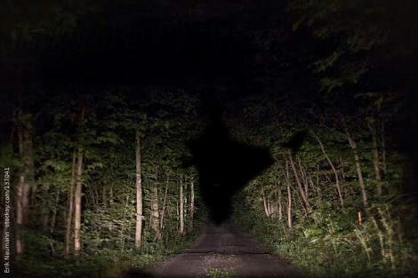 이해하면 무서운 사진 모음 관련 이미지 1