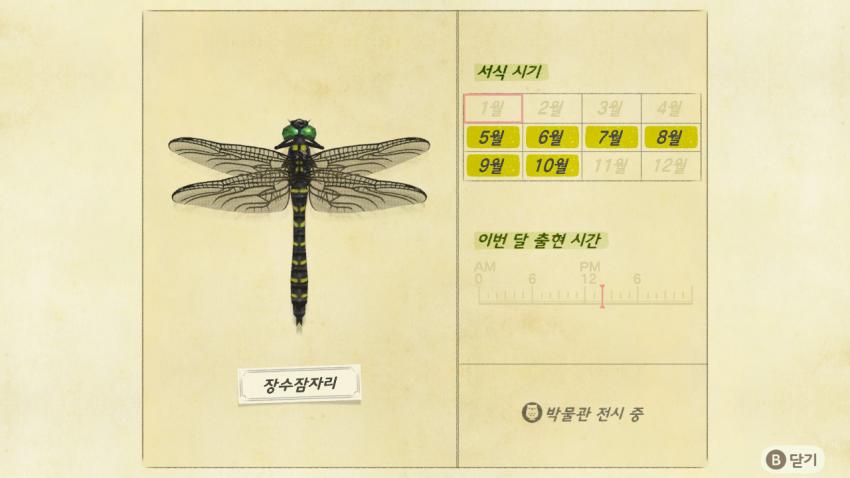 '모여봐요 동물의 숲' 곤충도감 정리 및 공략(2) 관련 이미지 10