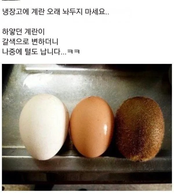 이해하면 무서운 사진 모음 관련 이미지 1