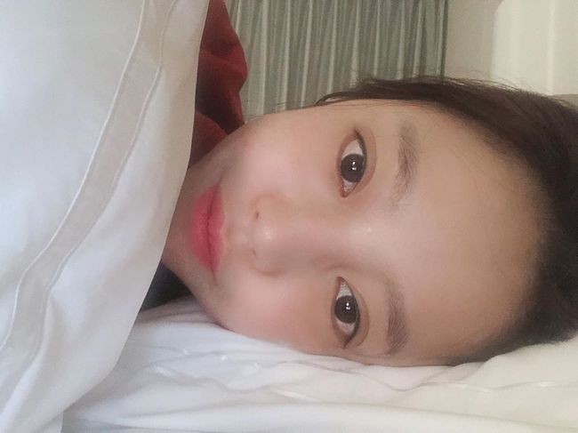 배우 차인하 자택서 사망, 구하라 설리 이어 베르테르 효과... 관련 이미지 8