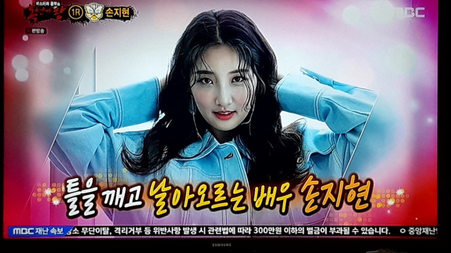 복면가왕, 뽀글이 흰나비 김수로 푸들 정체 공개! 관련 이미지 6