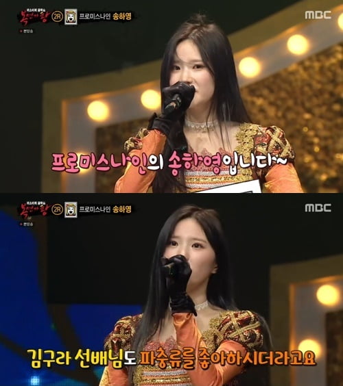 복면가왕 115대 가왕전 만찢남 5연승? 퀸카 브로콜리 오늘의 운세 큐피드 정체 공개 관련 이미지 2
