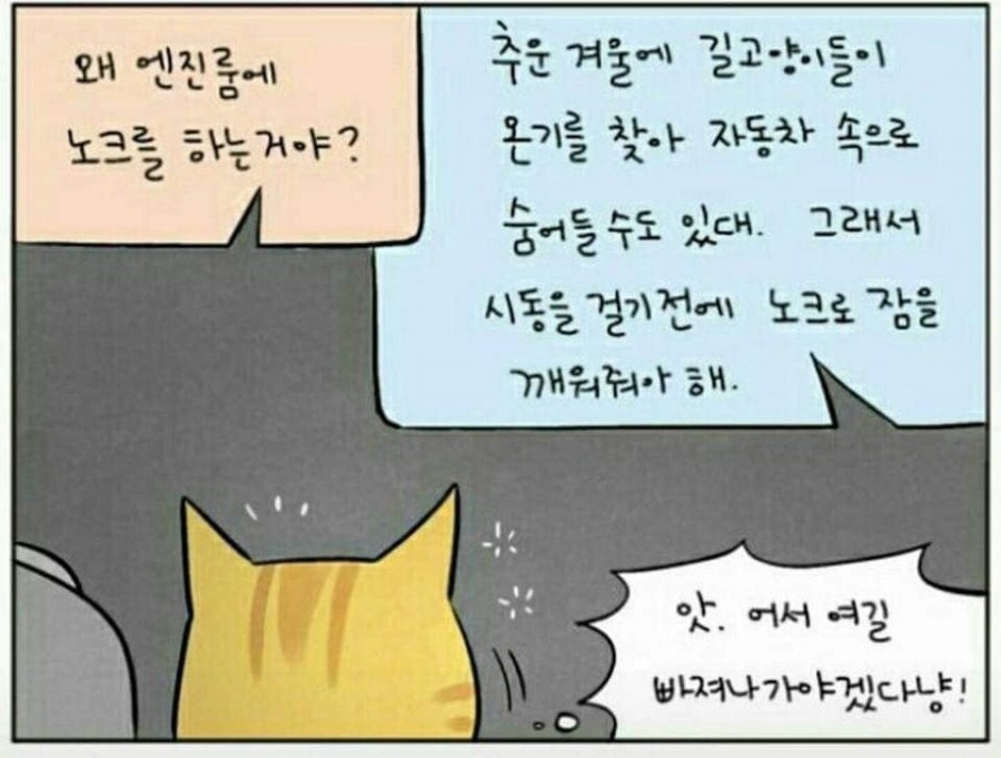 모닝노크 관련 이미지 8