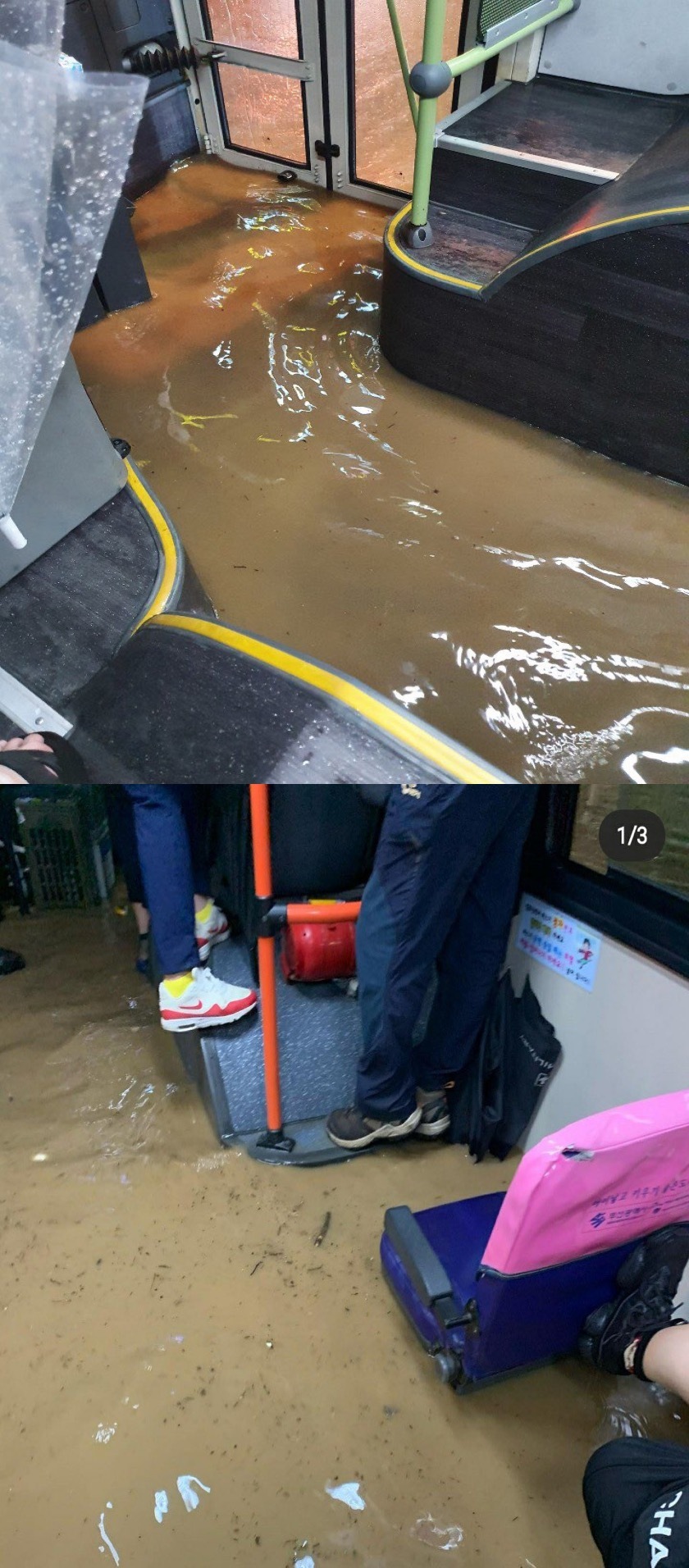 실시간 관련 이미지 11