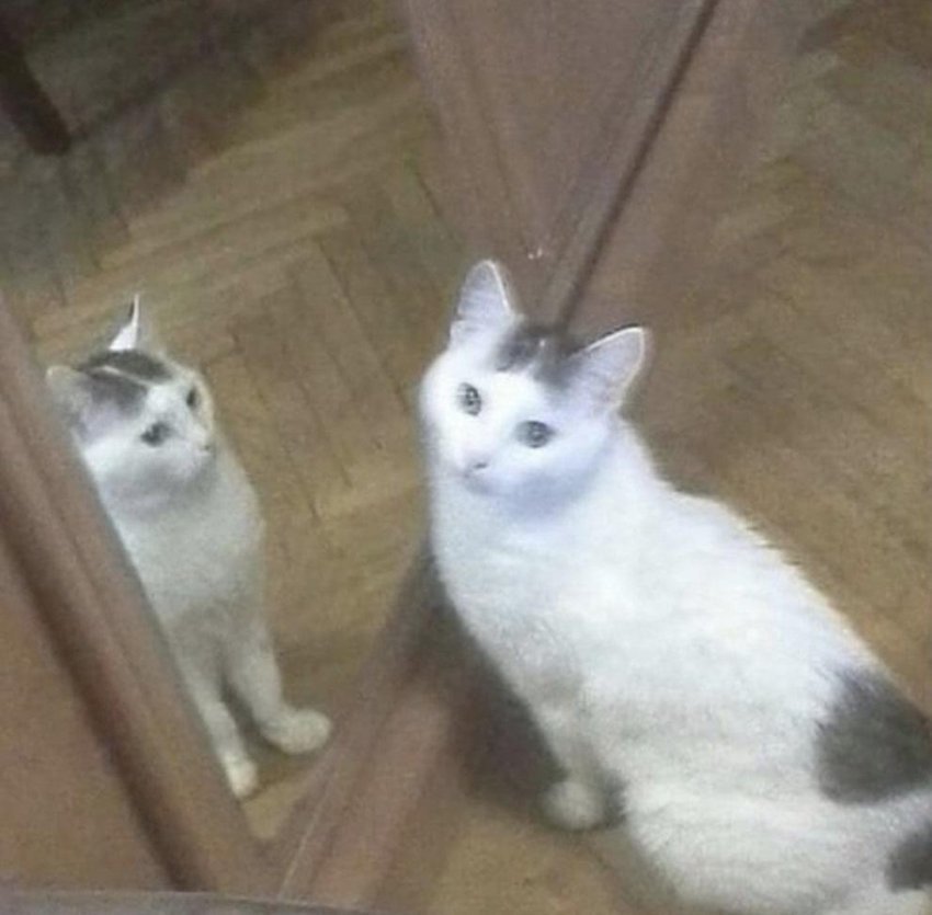 이해하면 무서운 사진 모음7 관련 이미지 9