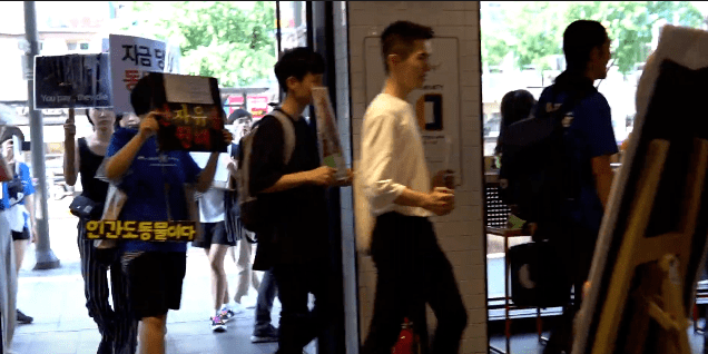 정신나간 비건 단체 행보 근황 관련 이미지 2