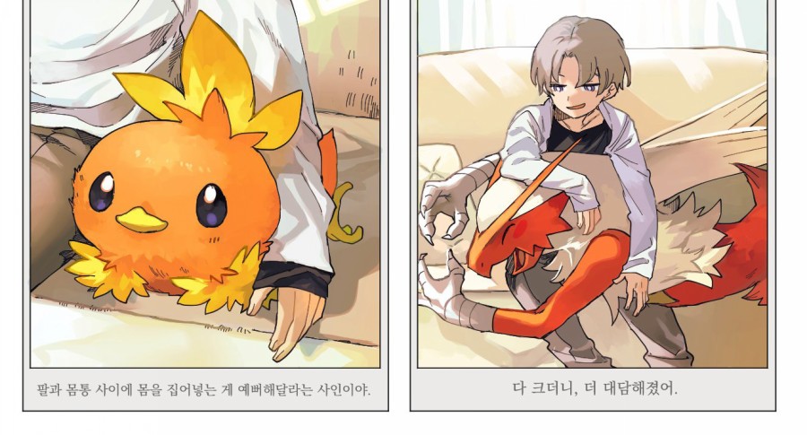 훈훈한 포켓몬스터 만화 모음 관련 이미지 7