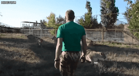 이해하면 무서운 사진 모음 관련 이미지 2