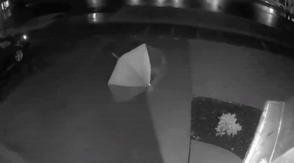 이해하면 무서운 사진 모음 관련 이미지 5