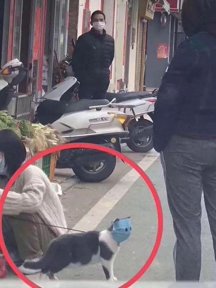 코로나 바이러스, 사망자 1000명대.. 하루만에 108명 추가! 관련 이미지 2