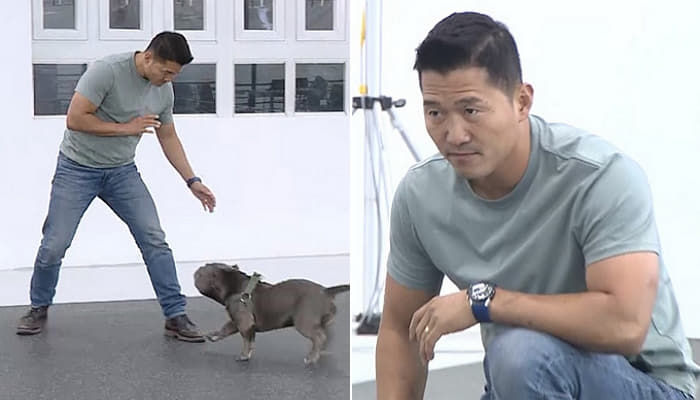 훈련사 강형욱, 관련 이미지 6