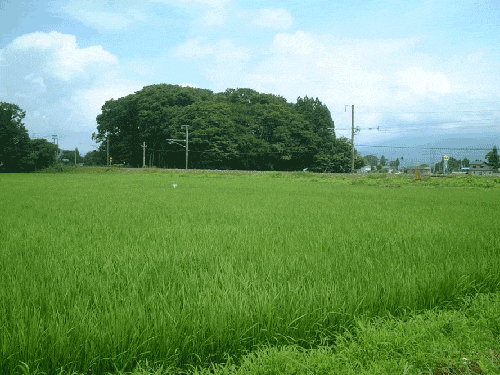 이해하면 무서운 사진 모음 관련 이미지 5