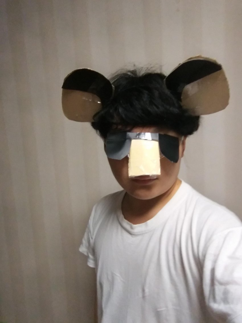 (대회) 모여봐요 동물의 숲 갤러리 코스프레 모음 관련 이미지 14