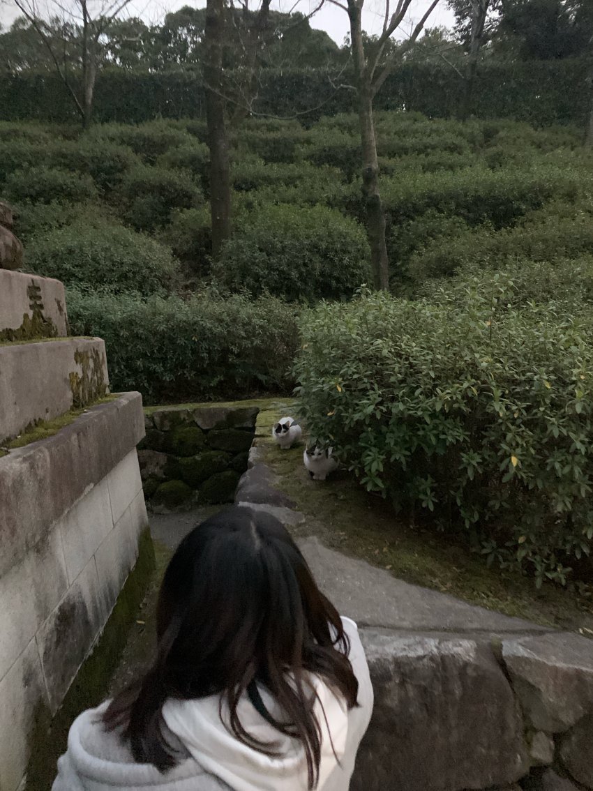 이해하면 무서운 사진 모음 관련 이미지 5