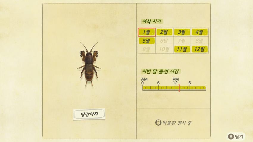 '모여봐요 동물의 숲' 곤충도감 정리 및 공략(2) 관련 이미지 13