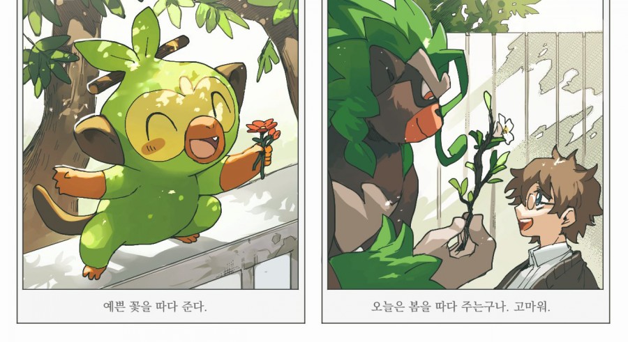 훈훈한 포켓몬스터 만화 모음 관련 이미지 12
