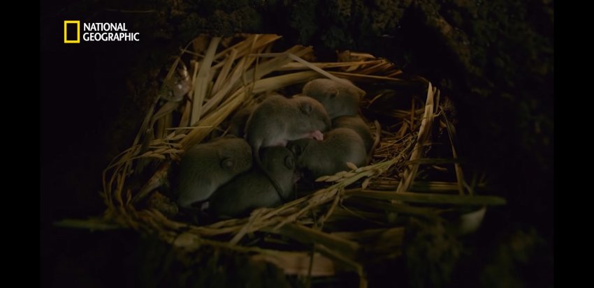 이해하면 무서운 사진 모음 관련 이미지 4