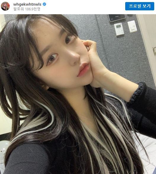 유튜버 조두팔, 관련 이미지 4