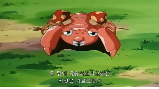 이해하면 무서운 사진 모음 관련 이미지 6