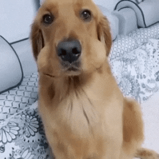 이해하면 무서운 짤 모음 관련 이미지 5