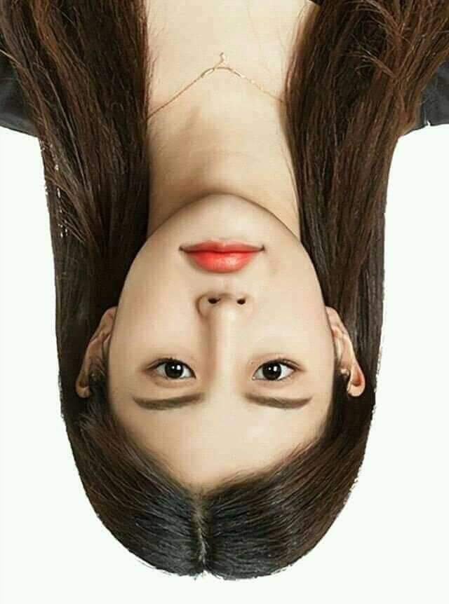 이해하면 무서운 사진 모음 관련 이미지 3