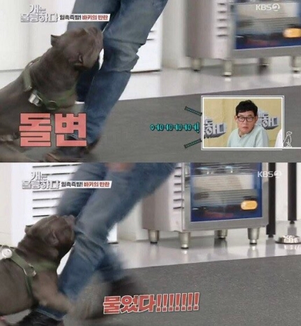 훈련사 강형욱, 관련 이미지 2