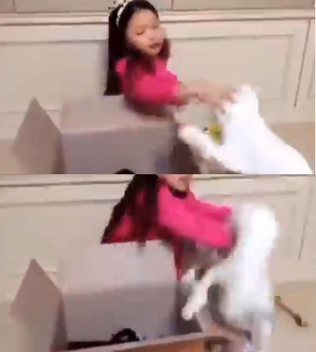 배우 구사랑, 고양이 학대논란..던지고 관련 이미지 3