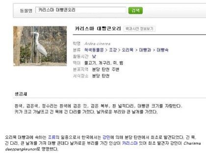 오리 관련 이미지 4