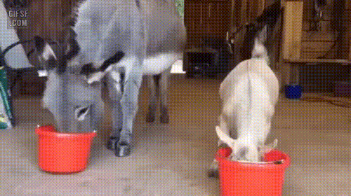 이해하면 무서운 사진 모음 관련 이미지 7