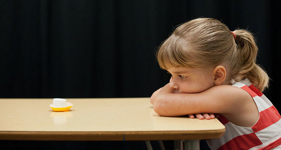 이해하면 무서운 사진 모음 관련 이미지 4