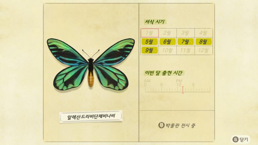 '모여봐요 동물의 숲' 곤충도감 정리 및 공략(1) 관련 이미지 13
