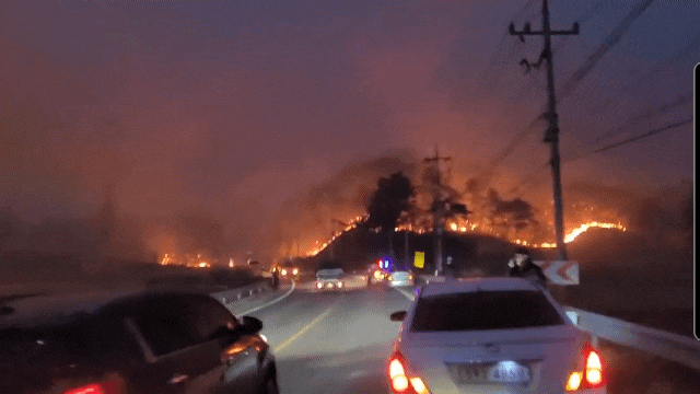 안동 산불 근황, 바람타고 확산중!(영상) 관련 이미지 5