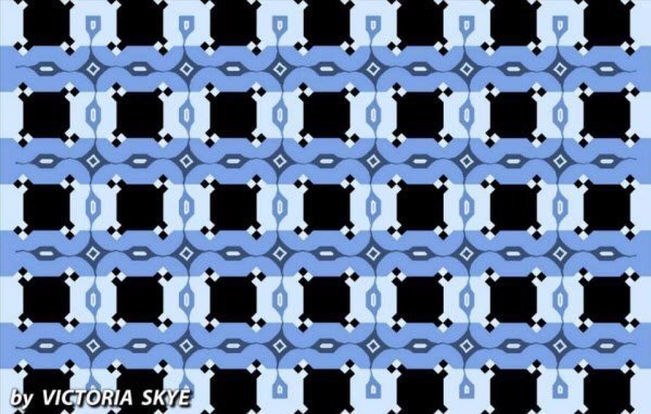 이해하면 무서운 사진 모음 관련 이미지 5