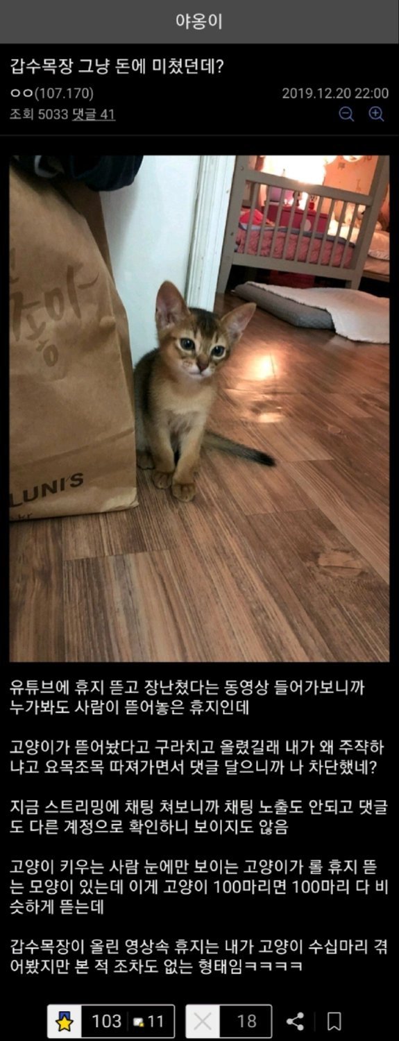 유튜버 갑수목장, 관련 이미지 7
