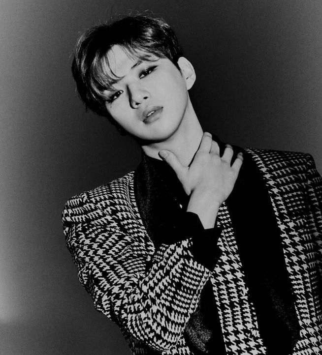 가수 강다니엘, 악플러 2차 고소 공식 입장(전문) 관련 이미지 1
