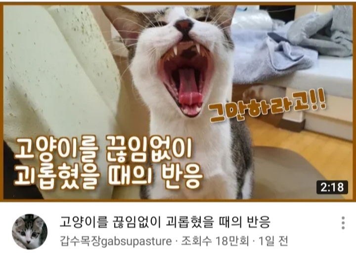 인기 유튜버 갑수목장, 동물 관련 이미지 2