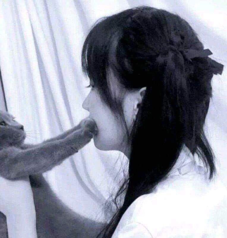 이해하면 무서운 사진 모음 관련 이미지 8