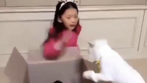 배우 구사랑, 고양이 학대논란..던지고 관련 이미지 2