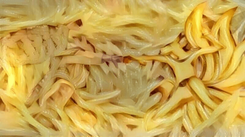 나루토 vs 사스케, 관련 이미지 2