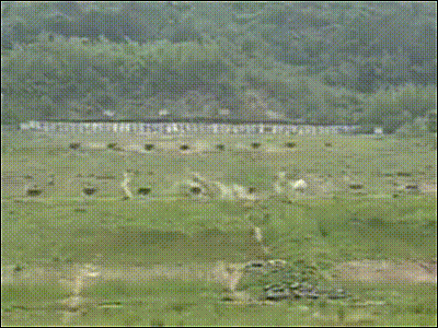 이해하면 무서운 사진 모음 관련 이미지 1