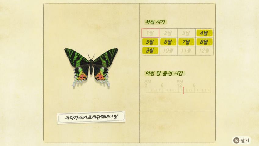 '모여봐요 동물의 숲' 곤충도감 정리 및 공략(1) 관련 이미지 16
